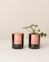 Image de Bottle Garden Fraises