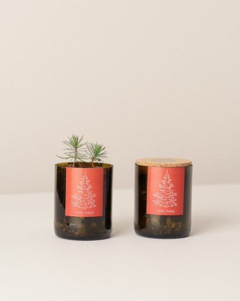 Imagem de Bottle Garden Pinheiro de Natal