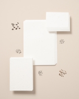 Imagem de Conjunto de 10 folhas em papel com sementes