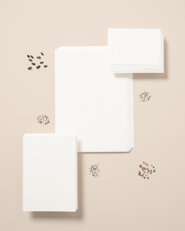 Imagem de Conjunto de 10 folhas em papel com sementes