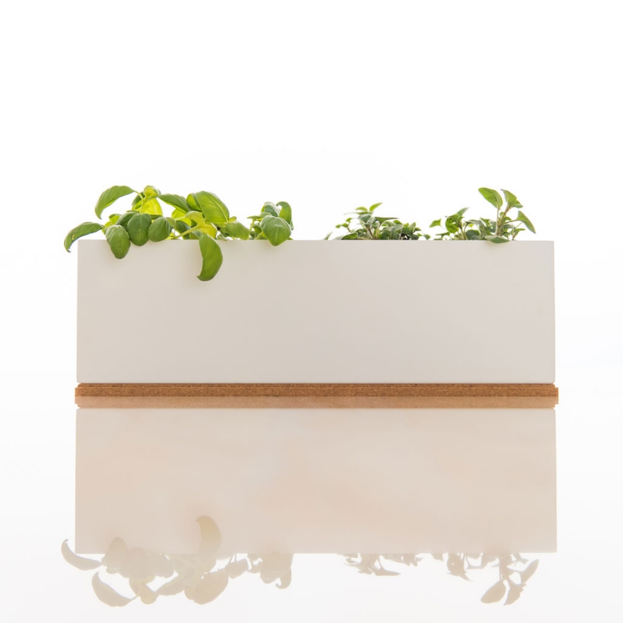 Picture of Mini Garden Basil and Coriander