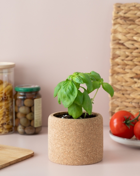 Image de Grow Cork Basilic