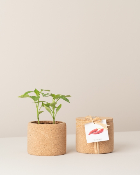 Image de Grow Cork Piments