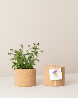 Image de Grow Cork Pensée