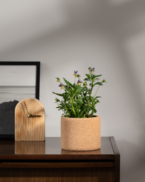 Image de Grow Cork Pensée