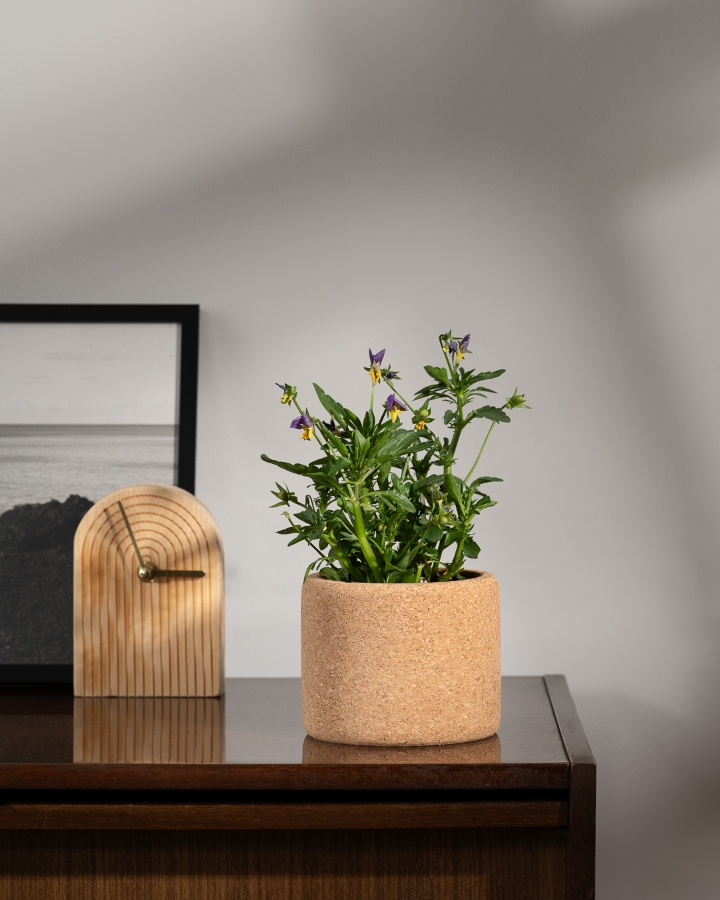 Image de Grow Cork Pensée