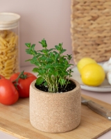 Image de Grow Cork Menthe