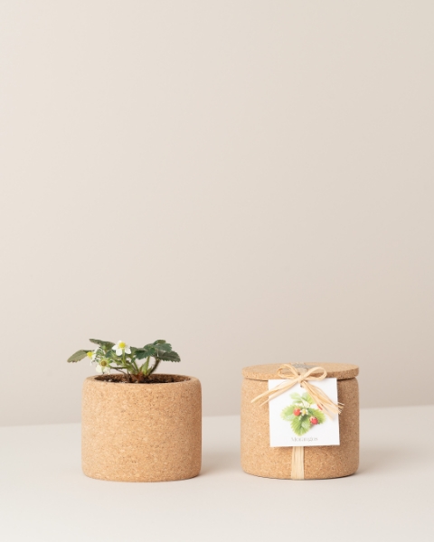 Image de Grow Cork Fraises