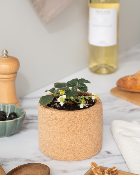 Image de Grow Cork Fraises