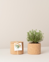 Imagem de Grow Cork Tomilho