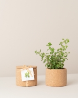 Imagem de Grow Cork Oregãos