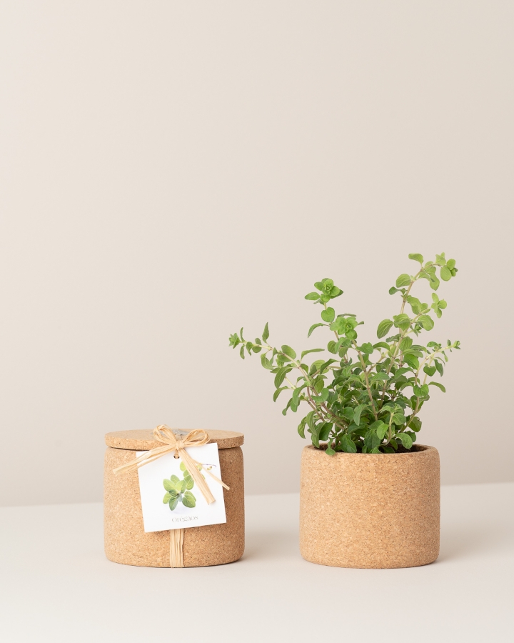 Imagem de Grow Cork Oregãos