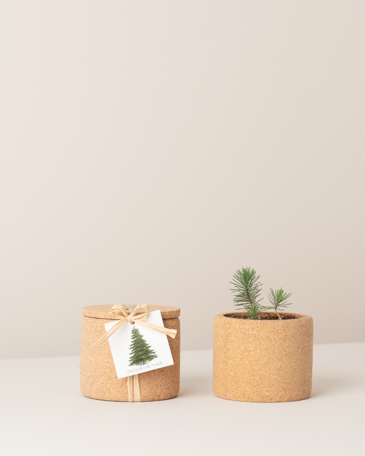 Image de Grow Cork Sapin de Noël
