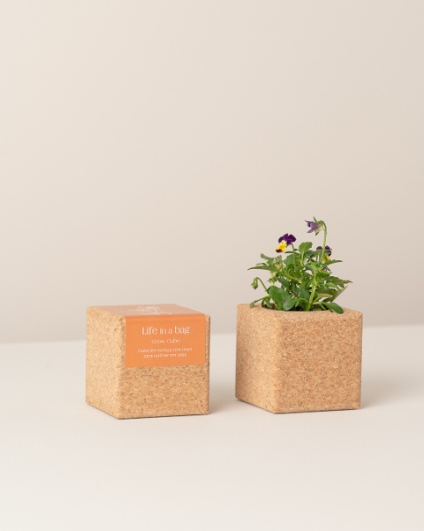 Image de Grow Cube Pensée
