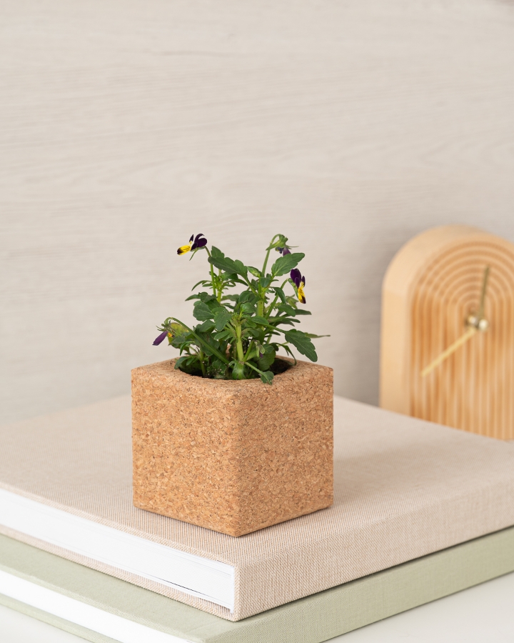 Image de Grow Cube Pensée