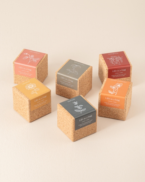 Image de Grow Cube Tournesol