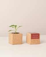 Image de Grow Cube Piments