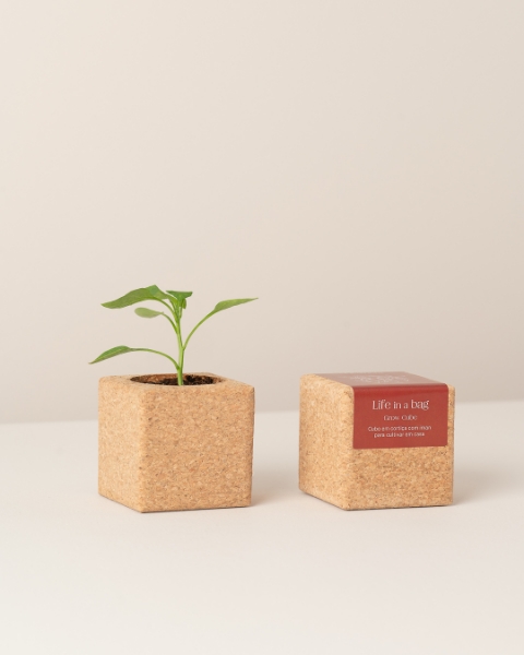 Image de Grow Cube Piments