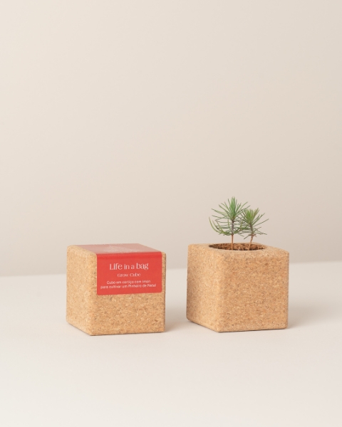 Image de Grow Cube Spain de Noël
