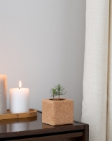 Image de Grow Cube Spain de Noël