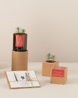 Image de Grow Cube Spain de Noël