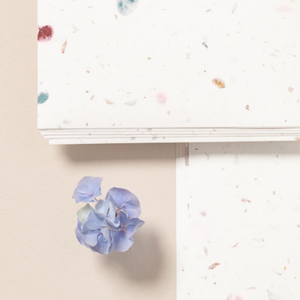 Image de la catégorie Pétales de Fleurs