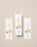 Image de Ensemble de 3 crayons à planter
