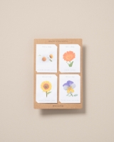 Organic seeds flowers