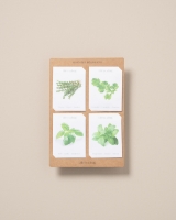 Bild von Blumensamen - Packung mit 4