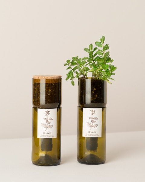 Immagine di Grow Bottle Menta