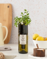 Picture of Grow Bottle Mint