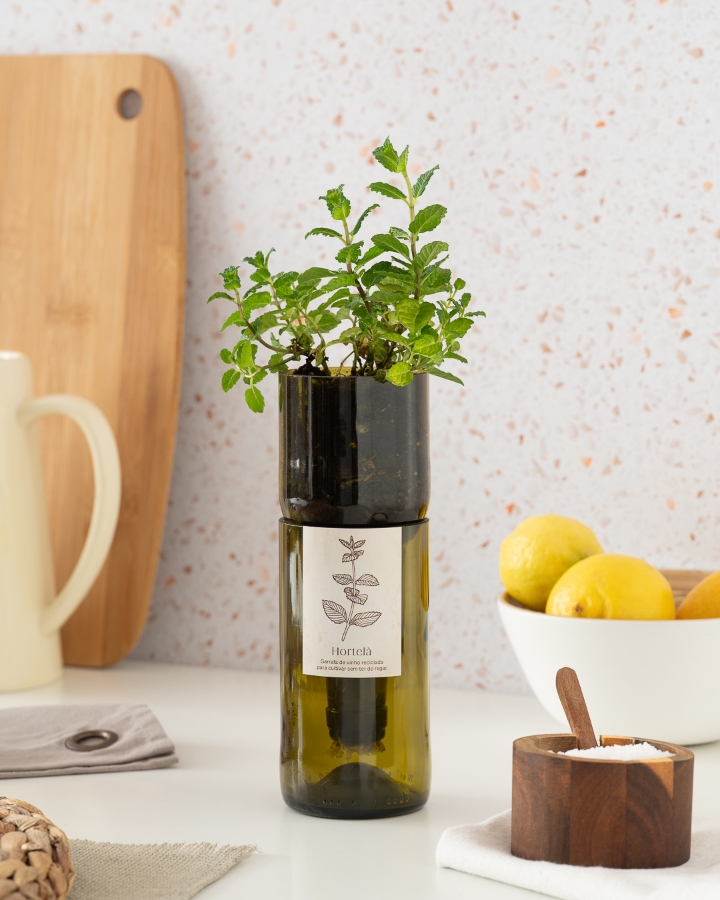Picture of Grow Bottle Mint