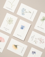 Image de Carte postale plantable Joyeux Anniversaire
