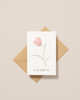 Image de Carte postale plantable Félicitations