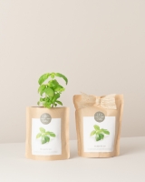 Imagem de Grow Bag Manjericão