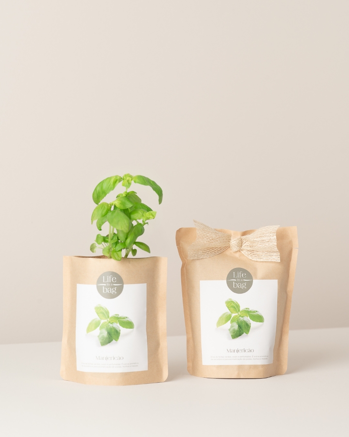 Imagem de Grow Bag Manjericão