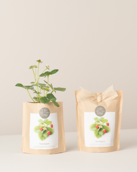 Grow your own strawberries in this bag