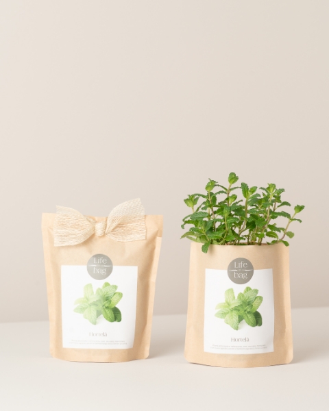 Imagem de Grow Bag Hortelã