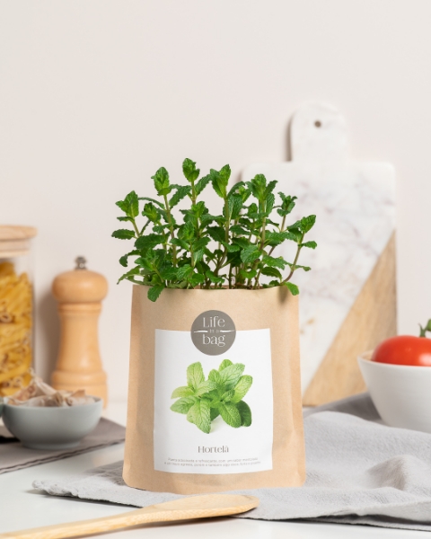 Imagem de Grow Bag Hortelã