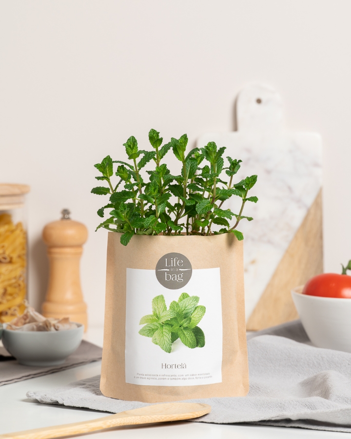 Imagem de Grow Bag Hortelã