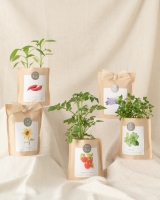 Imagem de Grow Bag Salsa