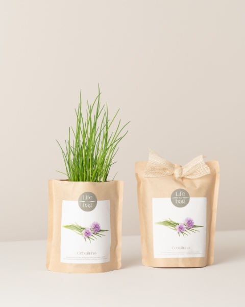 Imagem de Grow Bag Cebolinho