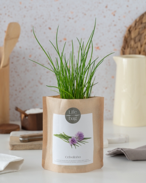 Imagem de Grow Bag Cebolinho