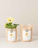 Imagem de Grow Bag Girassol