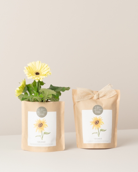 Imagem de Grow Bag Girassol