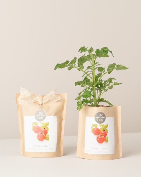 Image de Grow Bag Tomate Cerise