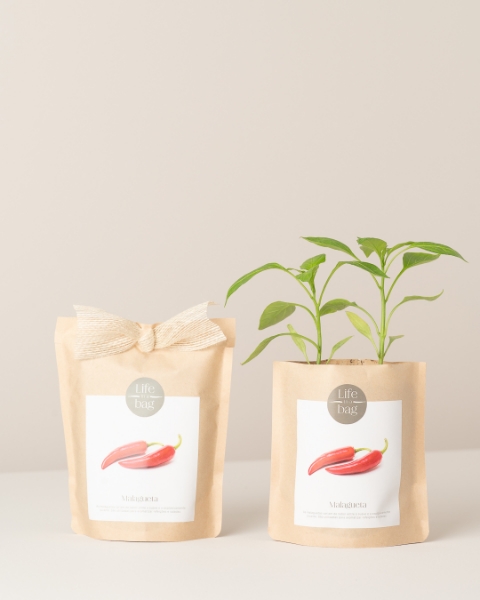 Imagem de Grow Bag Malagueta