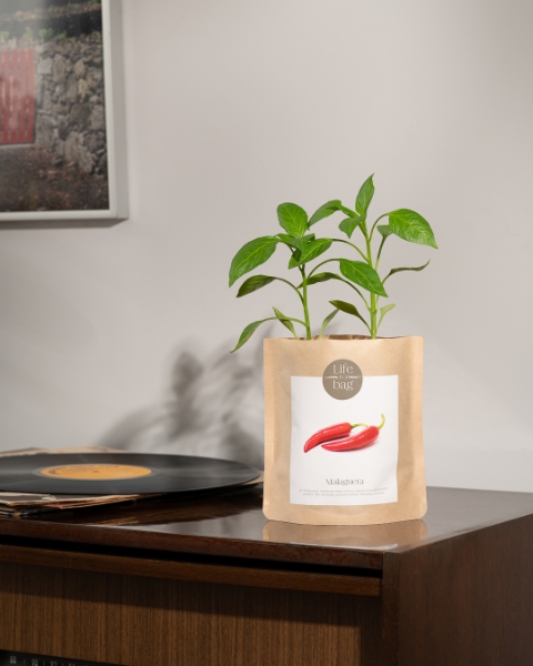 Imagem de Grow Bag Malagueta