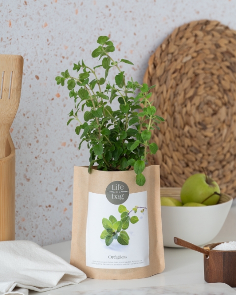 Imagem de Grow Bag Oregãos