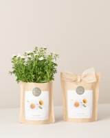 Imagem de Grow Bag Camomila